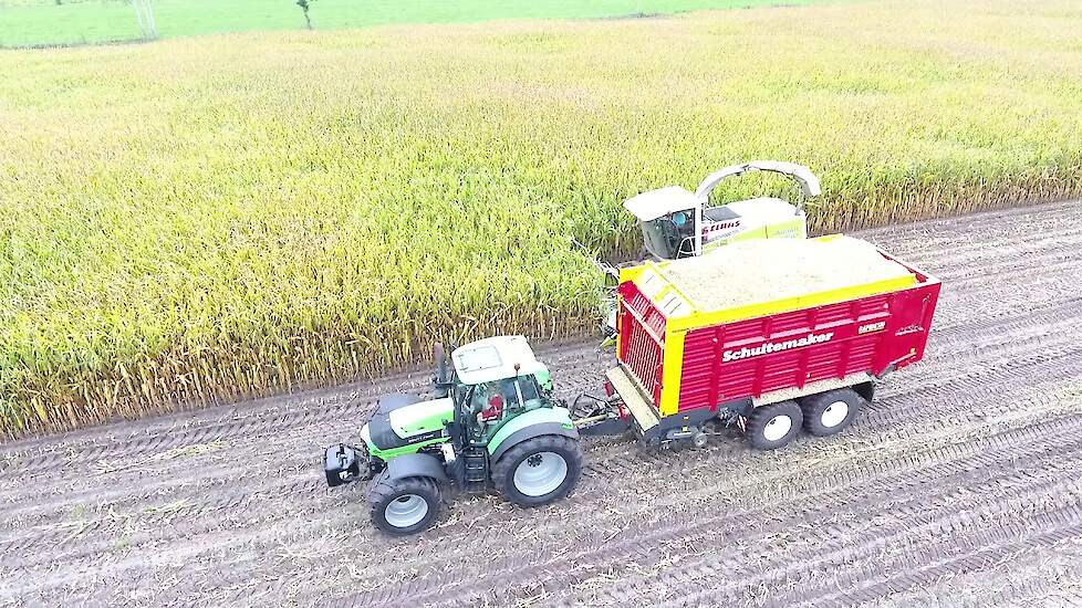 Maisoogst 2019 | Melkveebedrijf Spiker