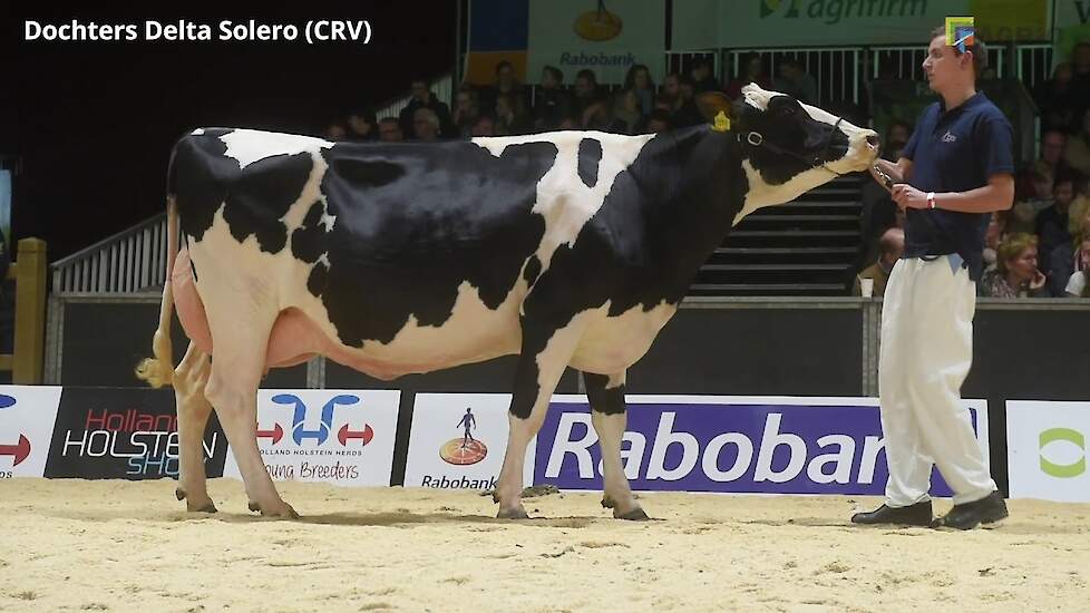 Dochtergroepen Semex, CRV, WWS - Holland Holstein sHow 2019