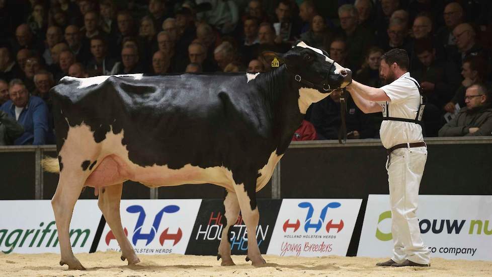 Ze is inmiddels anderhalf jaar aan de melk (met een daggemiddelde van ruim 40 kg melk) en ruim vier jaar oud. Atwood-dochter Giessen Charity 138 van Van Vliet eiste met haar lengte en beste uier de eerste plek op in de derde rubriek van de zwartbonte vaar