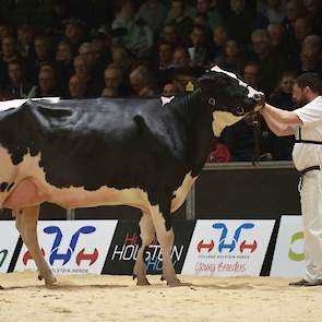 Ze is inmiddels anderhalf jaar aan de melk (met een daggemiddelde van ruim 40 kg melk) en ruim vier jaar oud. Atwood-dochter Giessen Charity 138 van Van Vliet eiste met haar lengte en beste uier de eerste plek op in de derde rubriek van de zwartbonte vaar