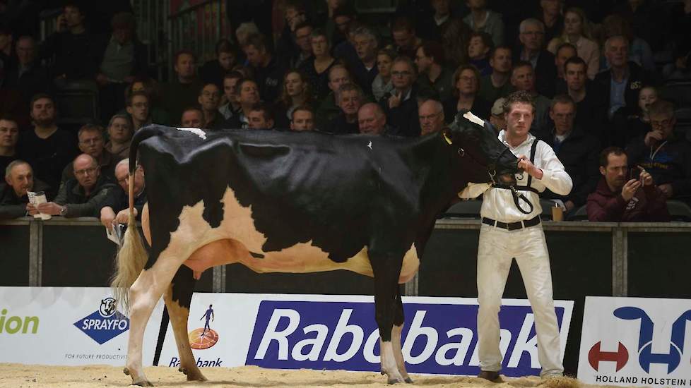 De jeugdige, iets enkele Doorman-dochter HD Armana van de combinatie Wijnker uit Avenhorn en Kat uit Egmond volgde op de tweede plaats.