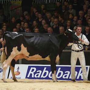 De jeugdige, iets enkele Doorman-dochter HD Armana van de combinatie Wijnker uit Avenhorn en Kat uit Egmond volgde op de tweede plaats.