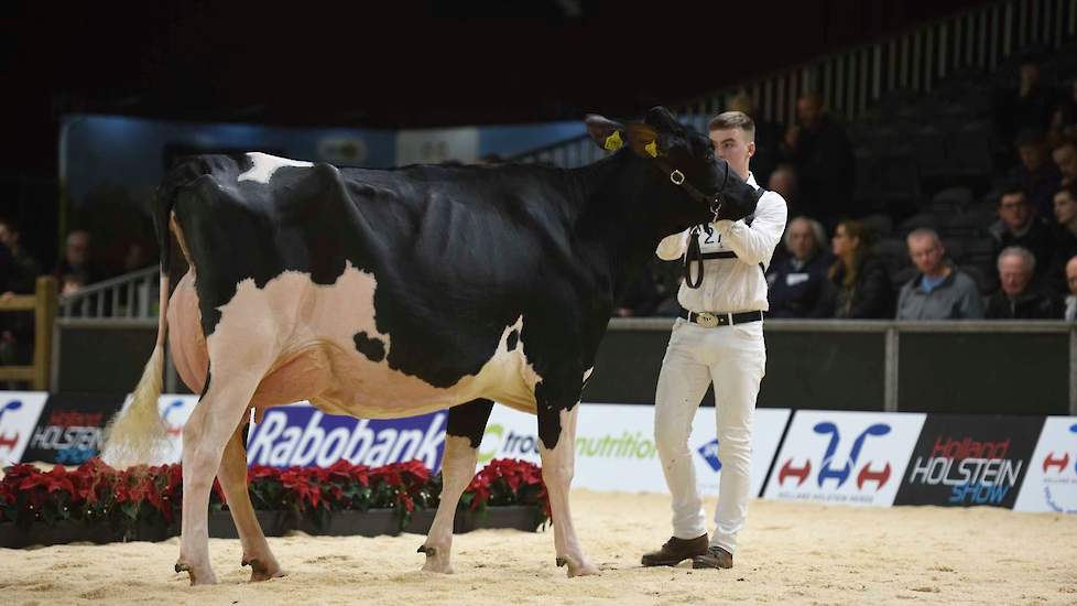 Deze ruim en correct gebouwde New Moore Novo Esmeralda 93 van de maatschap Withaar-Prent uit Nijeveen is een Novo-dochter van de algemeen kampioene, honderdtonner Esmeralda 38. Ze moest genoegen nemen met een plaats in de achterhoede, een lot dat meerdere