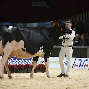 Deze ruim en correct gebouwde New Moore Novo Esmeralda 93 van de maatschap Withaar-Prent uit Nijeveen is een Novo-dochter van de algemeen kampioene, honderdtonner Esmeralda 38. Ze moest genoegen nemen met een plaats in de achterhoede, een lot dat meerdere