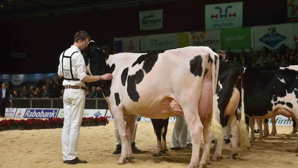 Drouner K&L Aiko 1398 van Albring legde beslag op de derde plaats. De lange Bestboss-dochter heeft een hoge achteruier.