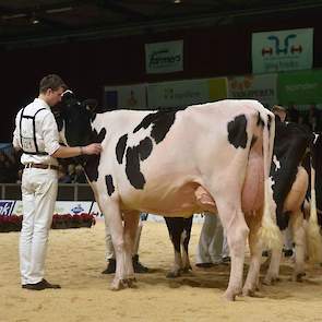 Drouner K&L Aiko 1398 van Albring legde beslag op de derde plaats. De lange Bestboss-dochter heeft een hoge achteruier.