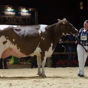 Krachtpatser Twente Dairies Absolute Jose van de familie Tijhuis uit Hooghalen pakte de tweede plaats. De Absolute-dochter heeft een geweldige voorhand met veel vermogen en is zeer correct gebouwd en afgewerkt.