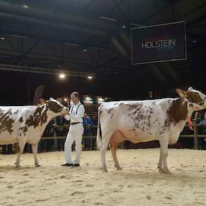 De nummer drie van de rubriek Heerenbrink Sylvie 8, een mooigelijnde, sterk geuierde Ladd P-dochter met goede droge benen van de familie Steegink uit Okkenbroek, wordt gevolgd door de fraaie, diepe Tienmorgen Dora 544, een late Classic-dochter van de fami