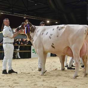 De derde middenklasserubriek bij de roodbonten was opnieuw zeer hoog van niveau. Bovendien waren er grote verschillen in type tussen de koeien. Een rubriek dus waarin keuzes gemaakt moesten worden. Huijbregts koos voor regerend NRM-kampioene Giessen Cecib