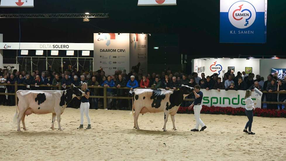 WWS toonde een groep van Delaberge Pepper. De uniforme groep bestond uit best ontwikkelde, lange, sterke koeien met heel goede uiers.