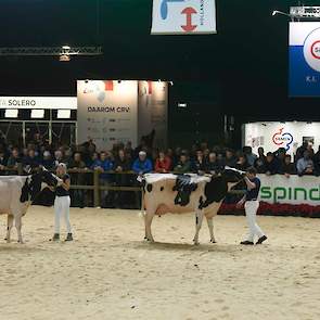 WWS toonde een groep van Delaberge Pepper. De uniforme groep bestond uit best ontwikkelde, lange, sterke koeien met heel goede uiers.