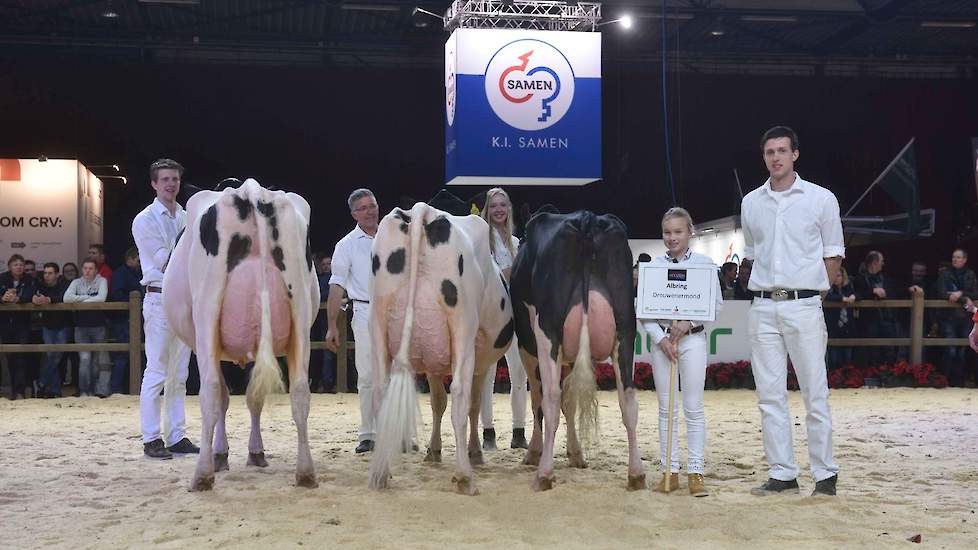 Bij de zwartbonten waren er slechts twee bedrijfsgroepen. Albring won op basis van individuele kwaliteit met de juniorenkampioene en de algemeen reservekampioene in de groep.