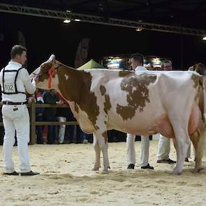 De aftredend kampioene van vorig jaar, Heerenbrink Truus 4 van Steegink en eveneens een Big Apple-dochter, moest genoegen nemen met de tweede plaats. Qua fijnheid en vrouwelijkheid doet ze niet onder voor haar halfzus, maar in de uieraanhechting en -diept