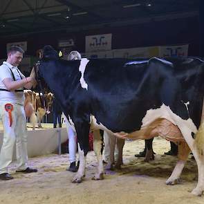 Gerda 126, een fraaie, rastypische Goldsun-dochter van de familie De Jong uit Montfoort kreeg de derde plaats toebedeeld