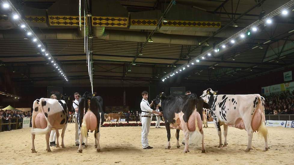 De andere honderdtonner, Jimm. Holstein Hellen 589, hier rechts op de foto moest genoegen nemen met de vierde plaats. De oud-NRM-kampioene stond er geweldig voor en veel toeschouwers hadden een kampioensduo bestaande uit de twee honderdtonners wel zien zi