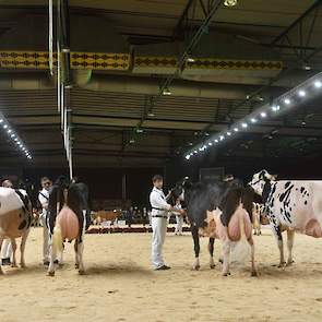 De andere honderdtonner, Jimm. Holstein Hellen 589, hier rechts op de foto moest genoegen nemen met de vierde plaats. De oud-NRM-kampioene stond er geweldig voor en veel toeschouwers hadden een kampioensduo bestaande uit de twee honderdtonners wel zien zi