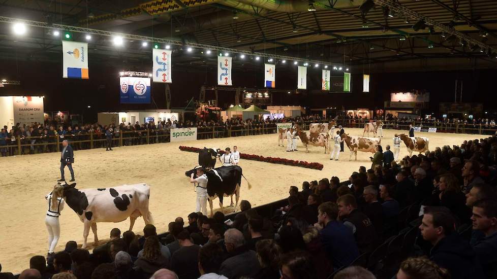 Een overzichtsfoto van de kampioenskeuring bij de senioren.