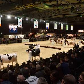 Een overzichtsfoto van de kampioenskeuring bij de senioren.