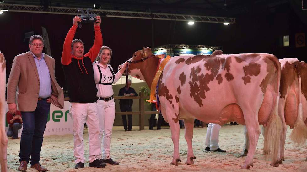 Het algemeen kampioenschap bij de roodbonten was voor Twente Dairies Apple José 1. Voor Harry Tijhuis was het na de overwinning van Twente Dairies José 2 op de NRM, de tweede keer binnen een jaar dat hij het algemeen kampioenschap op een nationale show op