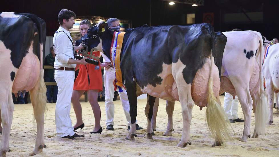 Het algemeen kampioenschap bij de zwartbonten was voor honderdtonner New Moore Esmeralda 38. Als vaars was ze reservekampioene op deze show en ze was tijdens haar carrière eerder al vaak dicht bij een nationale titel, maar deze overwinning maakt haar show