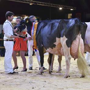 Het algemeen kampioenschap bij de zwartbonten was voor honderdtonner New Moore Esmeralda 38. Als vaars was ze reservekampioene op deze show en ze was tijdens haar carrière eerder al vaak dicht bij een nationale titel, maar deze overwinning maakt haar show