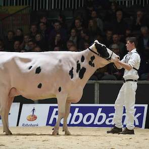 Falkena Anna 290 van Schep Holsteins uit Bergambacht kwam op kop in de tweede rubriek van de zwartbonte vaarzen. De Control-dochter toont met haar diepe borst, iets gesloten ribben en wat kortere nek meer kracht dan melktype. Ze heeft een zeer ondiepe, va