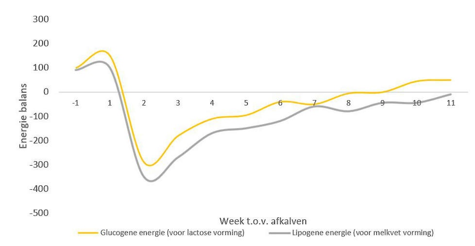Figuur 1 De energiebalans van koeien herstelt sneller bij koeien die glucogene- i.p.v. lipogene energie kregen bij gelijke VEM in het rantsoen. Bron: WUR, Van Knegsel et al., 2014.​​​​​​​