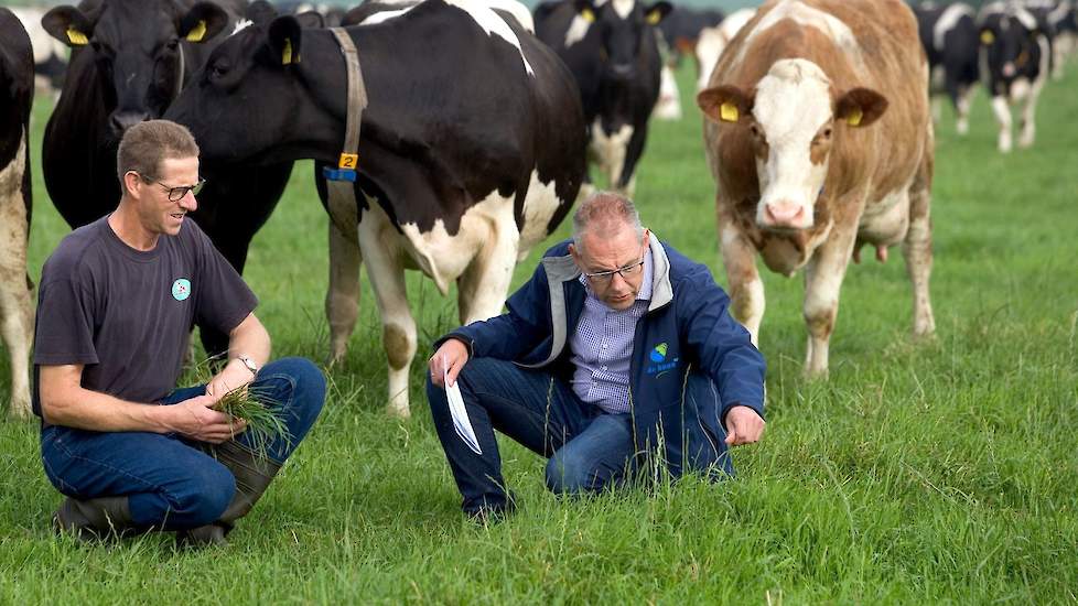 Weidegang met melkrobot