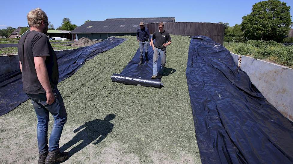 De drie mannen van het loonbedrijf helpen Tonnie op het laatst met toedekken van het kuilplastic