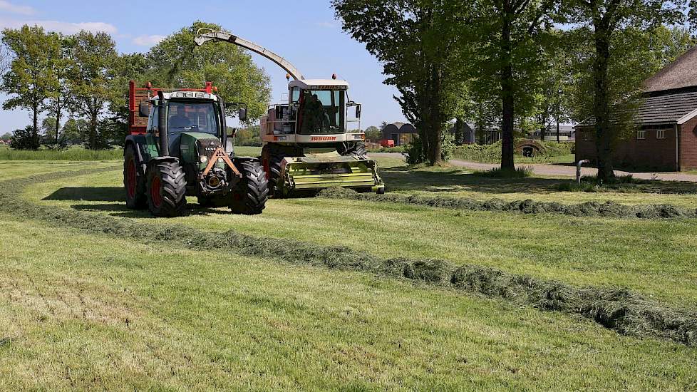 Daarna wacht de volgende klus. Loonbedrijf Loman heeft namelijk ook een melkveetak en het eigen perceel grasland ligt ook klaar om gehakseld te worden.