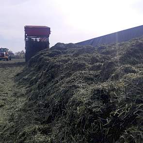 Het was prachtig weer om gras in te kuilen