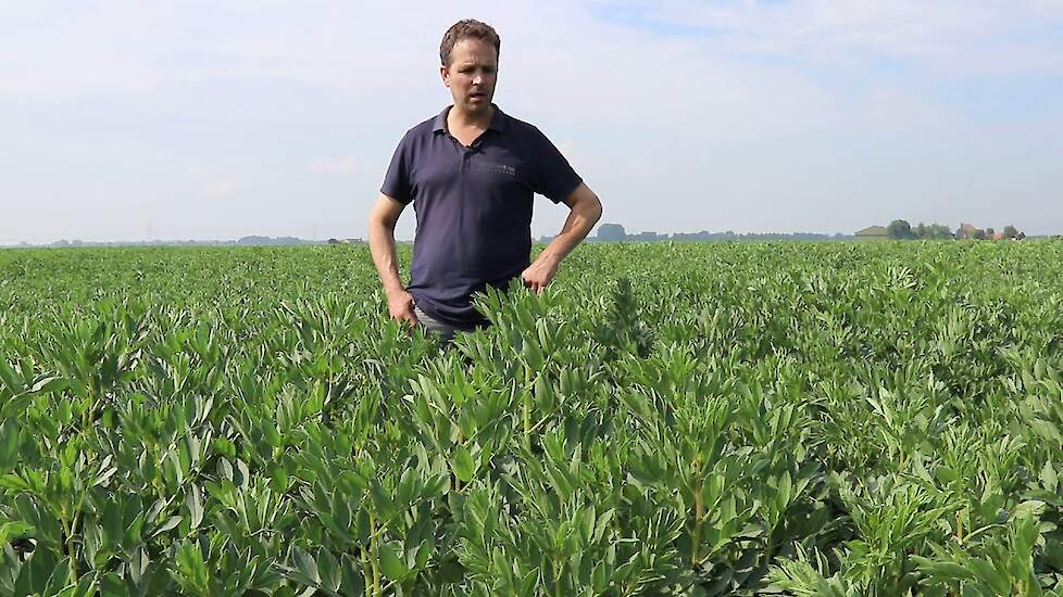 Zelf krachtvoer telen? Kom naar de praktijkmiddag in jouw regio!