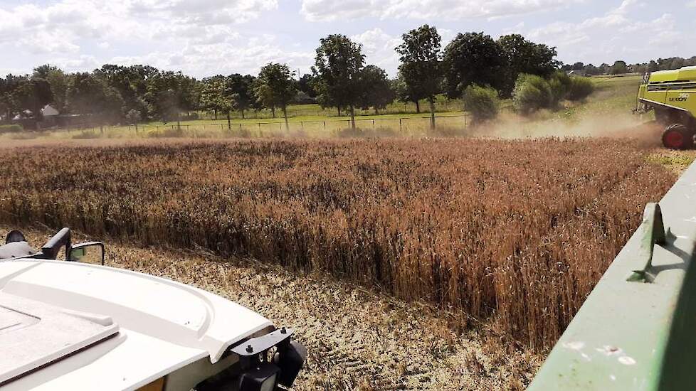 Dit jaar leverde de mengteelt bij 23% vocht gemiddeld 7,5 ton per hectare op, met uitschieters tot 10 ton op de taakkaart.