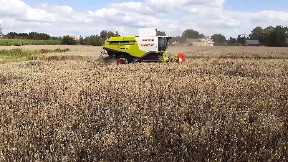 Op 20 juli liet Joris de mengteelt winterveldboon – wintertarwe dorsen. Die mengteelt bevalt heel goed. ‘Op de percelen met veldbonen en tarwe is de onkruiddruk lager, doordat het gewas dichter staat. De bonen binden de stikstof. De tarwe neemt de stiksto