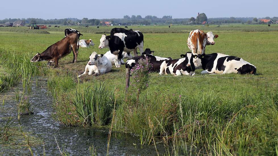 Zomers beeld ter illustratie