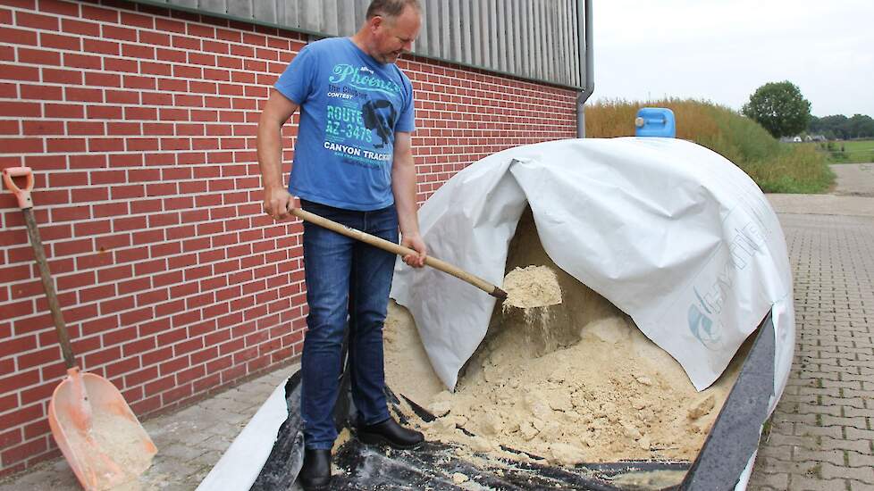 Naast maïskolvenschroot wordt er ook een kilo droge stof aan corn cob mix gevoerd. Dit is afkomstig van een proefveld van KWS, die al een aantal jaren korrelmaïsrassen test op een van de percelen van de melkveehouders.