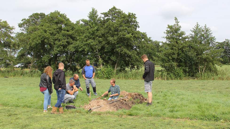 De profielkuilen laten een laag teelaarde zien, dan zand (inspoelingslaag met ijzer en humus uit de bovengrond) en dan blauwe leem met keien. Die keileem begint op 70 tot 90 centimeter onder het maaiveld. Door die storende laag is er weinig draagkracht.