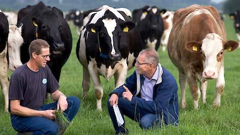 De Heus › Wilt u ook optimaal melken met weidegang en melkrobot? - Melkvee