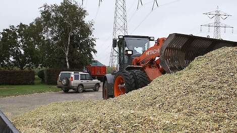 Topmaïs › Poll: Hoe is de opbrengst van de snijmaïs op uw bedrijf? - Melkvee
