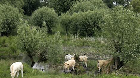 Basiscursus Beheer Natuurgraslanden verplicht voor alle 'natuur'-boeren - Melkvee