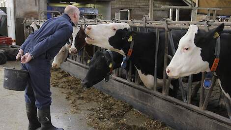 hand binnen Gespierd Levensduur › Koeien genieten het meest van 'live' praten | Melkvee.nl -  Nieuws en kennis voor de melkveehouder