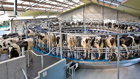 DeLaval buitenmelker met standen op 15 graden - Melkvee
