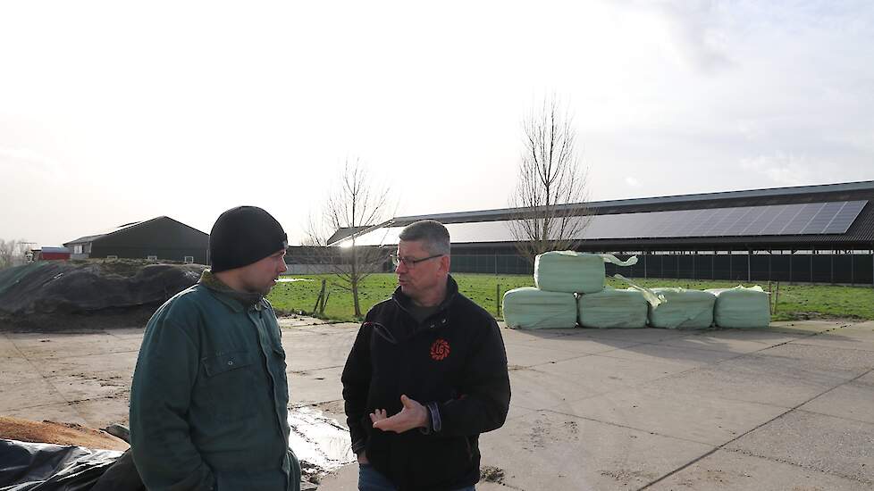 Corné heeft regelmatig contact met ruwvoerspecialist Antoon Verhoeven, over de teelt en vervoedering van zijn gras, mais en winterveldbonen.