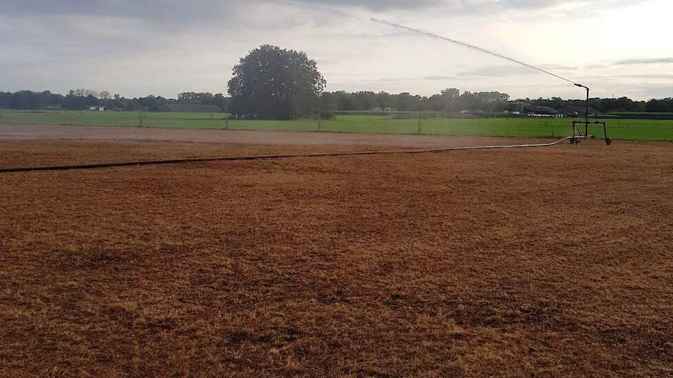 Op 12 september is er 25 mm beregend om het gras op gang te brengen.