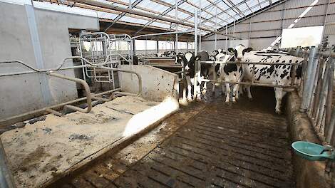 Mest bewerken met een beetje stroom als oplossing voor stikstofdossier - Melkvee