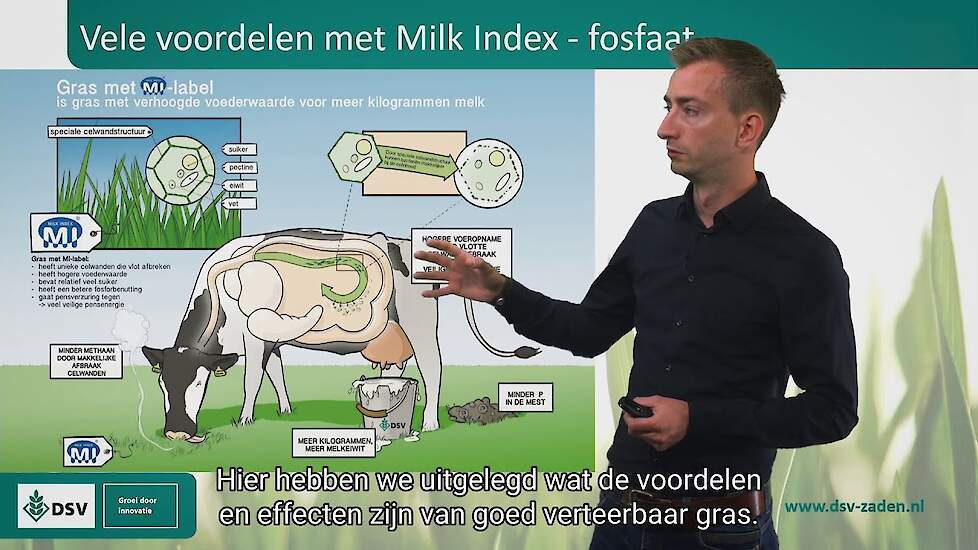 Milk Index beter voor milieu en kringloop (Aflevering 5) | DSV Zaden Nederland