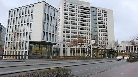 FrieslandCampina kijkt vooruit met vernieuwde duurzaamheidsstrategie - Melkvee