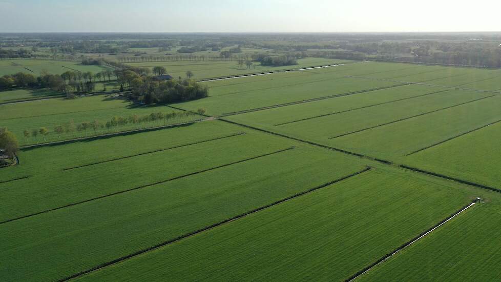 De gemiddelde prijs voor een hectare grasland stijgt naar 59.900 euro