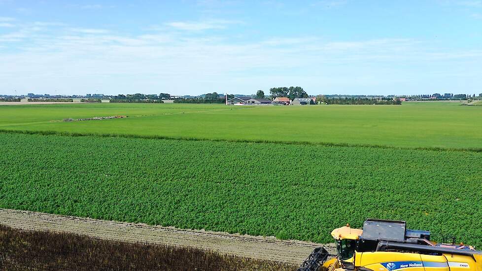 In 2020 teelde Ruben gras, mais, voederbieten en veldbonen op de kleigrond rondom zijn bedrijf in Nieuwerkerk. Zijn streven is maximaal melken uit zelf geteeld voer.