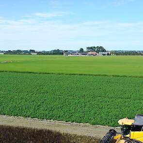 In 2020 teelde Ruben gras, mais, voederbieten en veldbonen op de kleigrond rondom zijn bedrijf in Nieuwerkerk. Zijn streven is maximaal melken uit zelf geteeld voer.